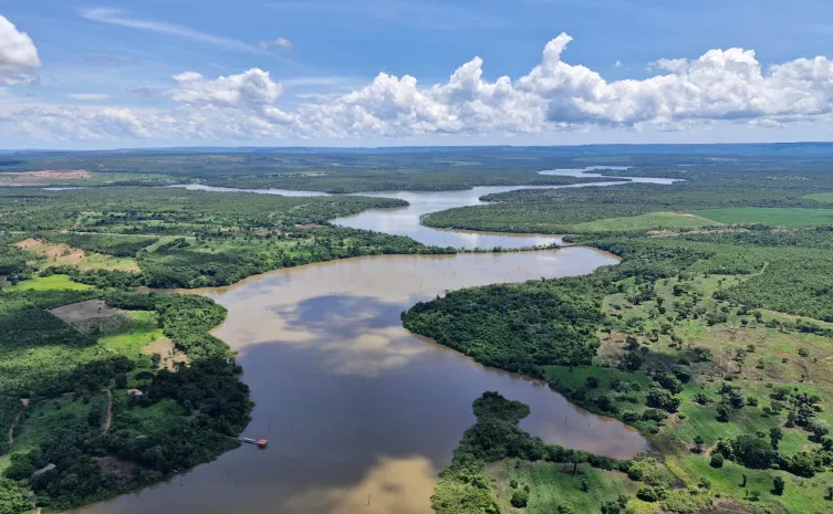 Governo do Tocantins realiza primeiro monitoramento aéreo de arraias-maçã nos rios Tocantins e Araguaia