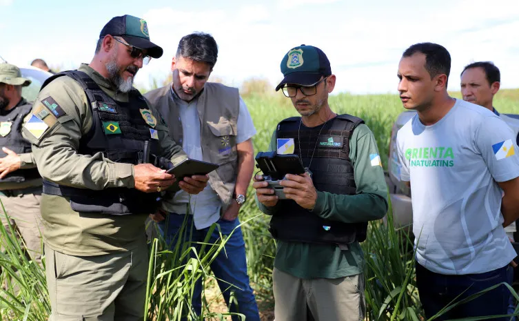 Governo do Tocantins registra redução de 43,4% no desmatamento no Estado